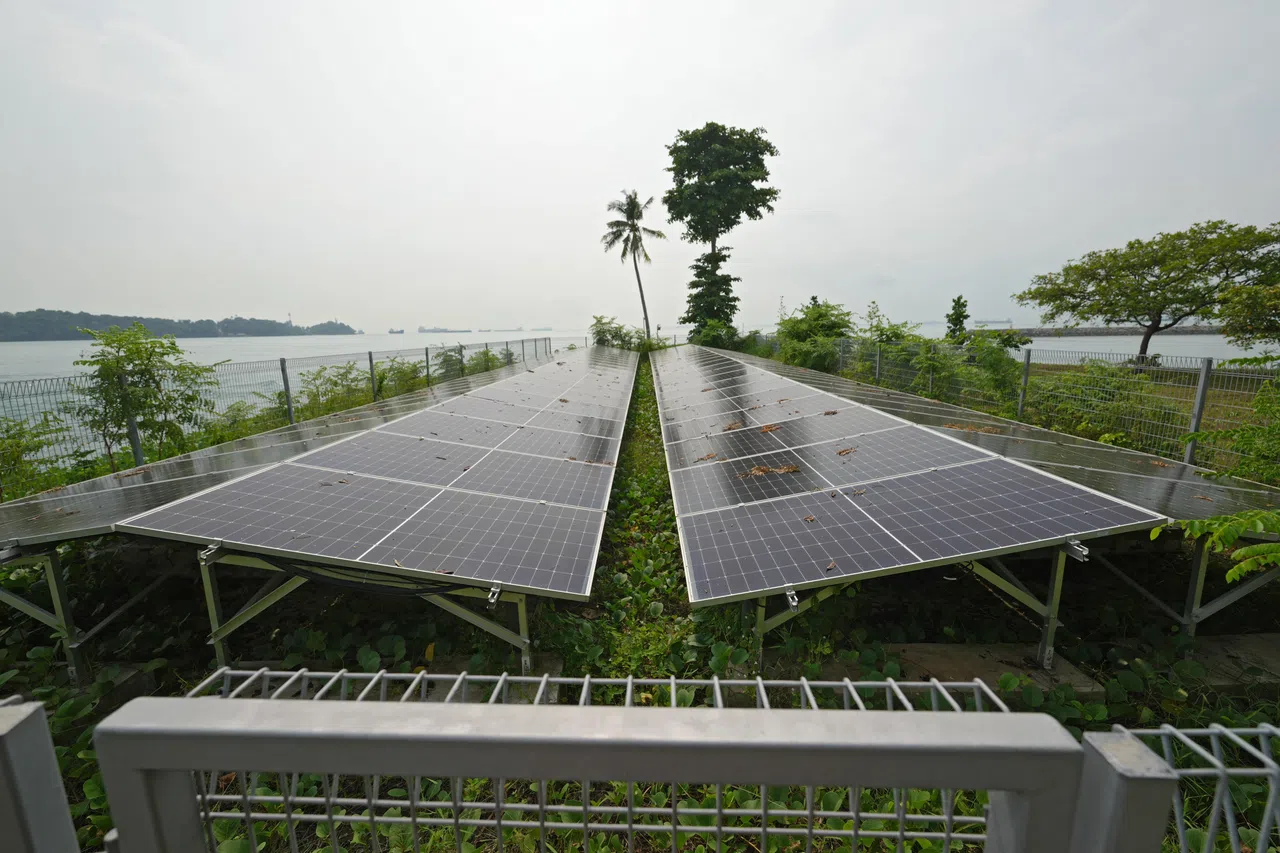 岛上没有电缆或水管与新加坡本岛相连，电力由一个88片太阳能板组成的“太阳能场”供给。（谢智扬摄）