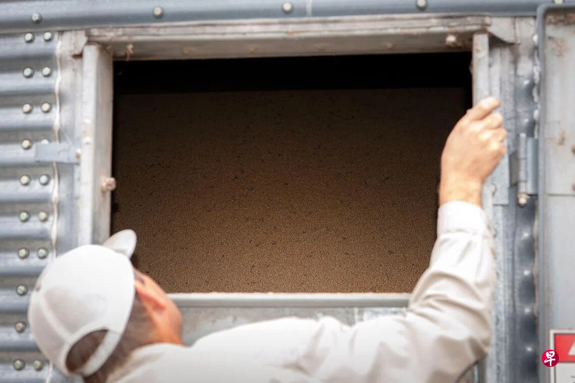 消息人士：习特会前中国首次采购美国今年当季大豆| 联合早报