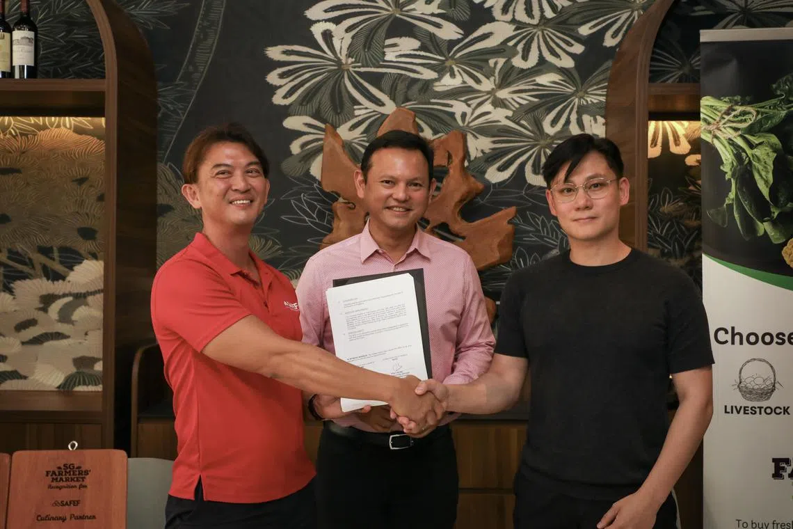 新加坡鲜农总会首席执行官张国健（左）和食品批发商Merchant Brothers执行董事傅元瑞（右）签署谅解备忘录，合力支持本土生产。国防部兼永续发展与环境部高级政务部长扎吉哈（中）见证签署仪式。（张恺恩摄）