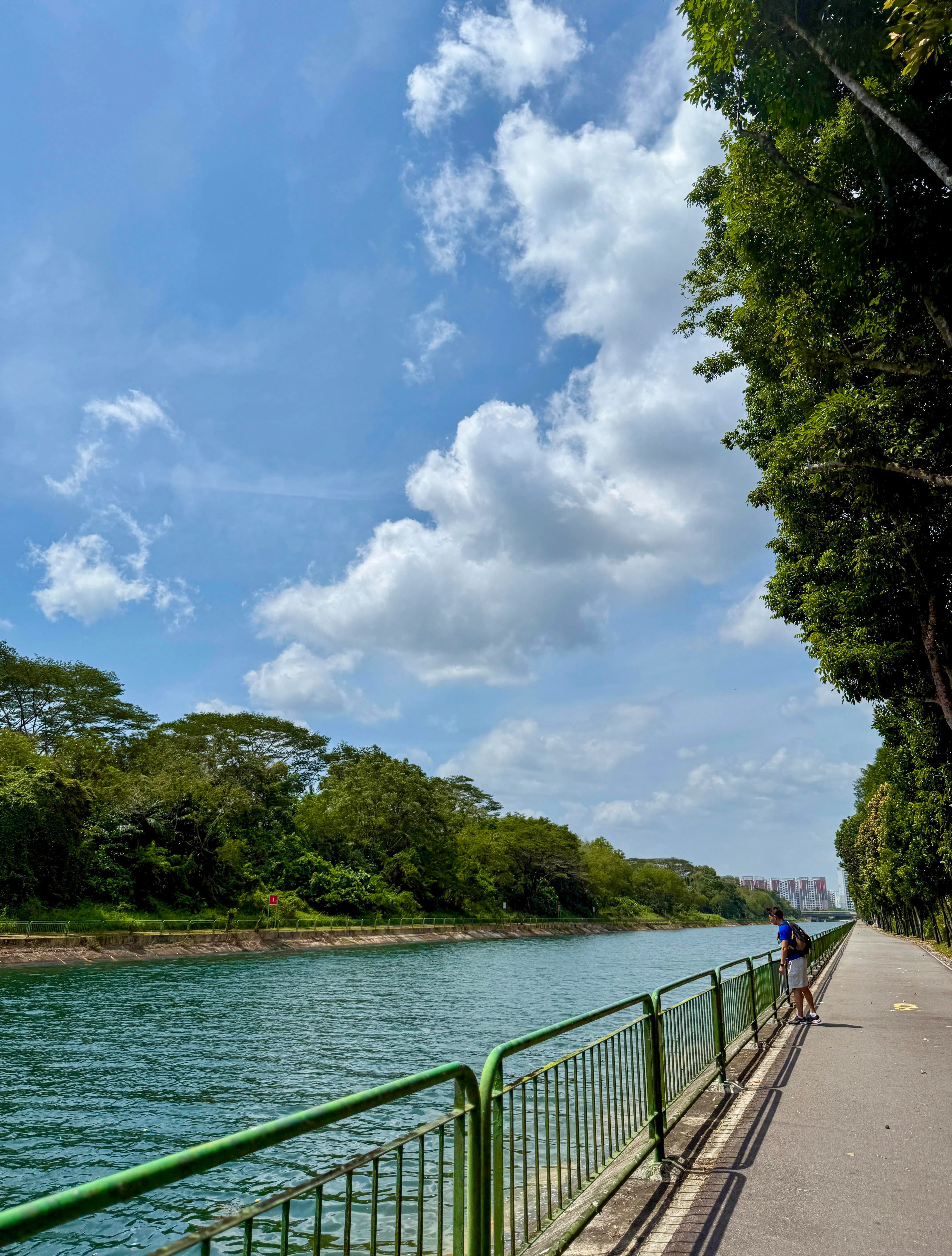 新邦基里公园连道，沿着笔直的步道欣赏水道景致，眼尖的话或许会看到翠鸟。（陈映蓁摄）