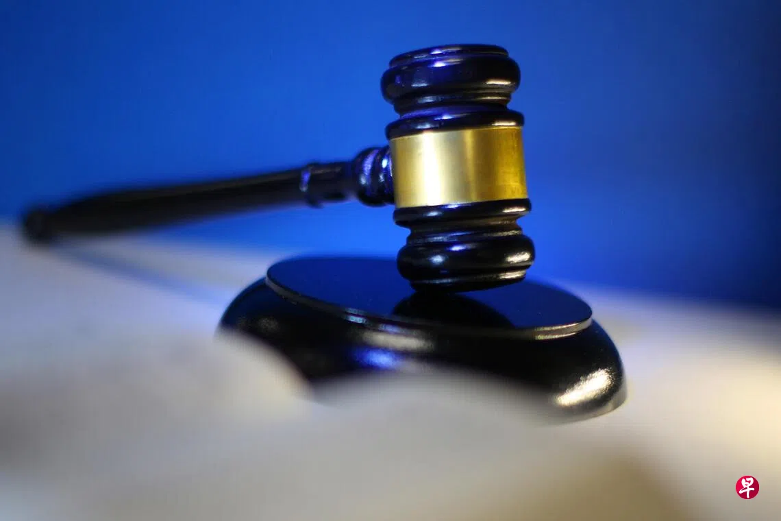 判刑的227人当中，11人被判死刑，19人被判终身监禁。案件主犯在缺席审判的情况下判处死刑。其他被告的刑期由18个月缓刑至29年有期徒刑不等。 （示意图）