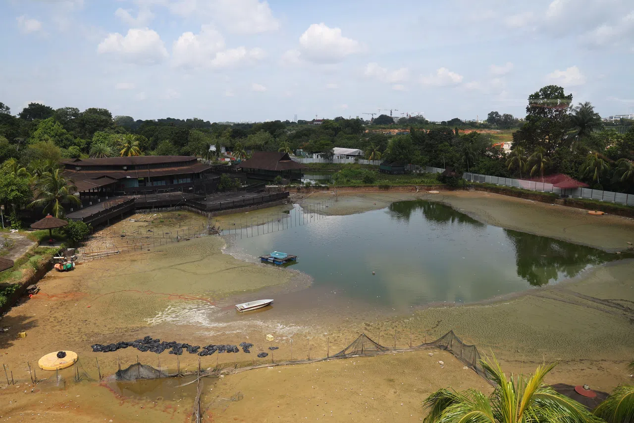 虽然空气中仍弥漫臭味，但池中明显已经没有鱼尸。（林明顺摄）