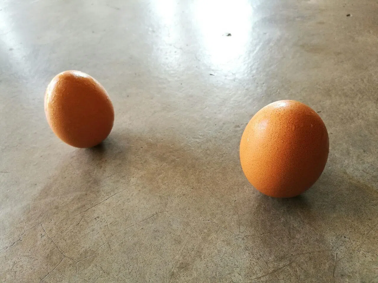 立春立蛋，源于自然意象的联想。（档案照）