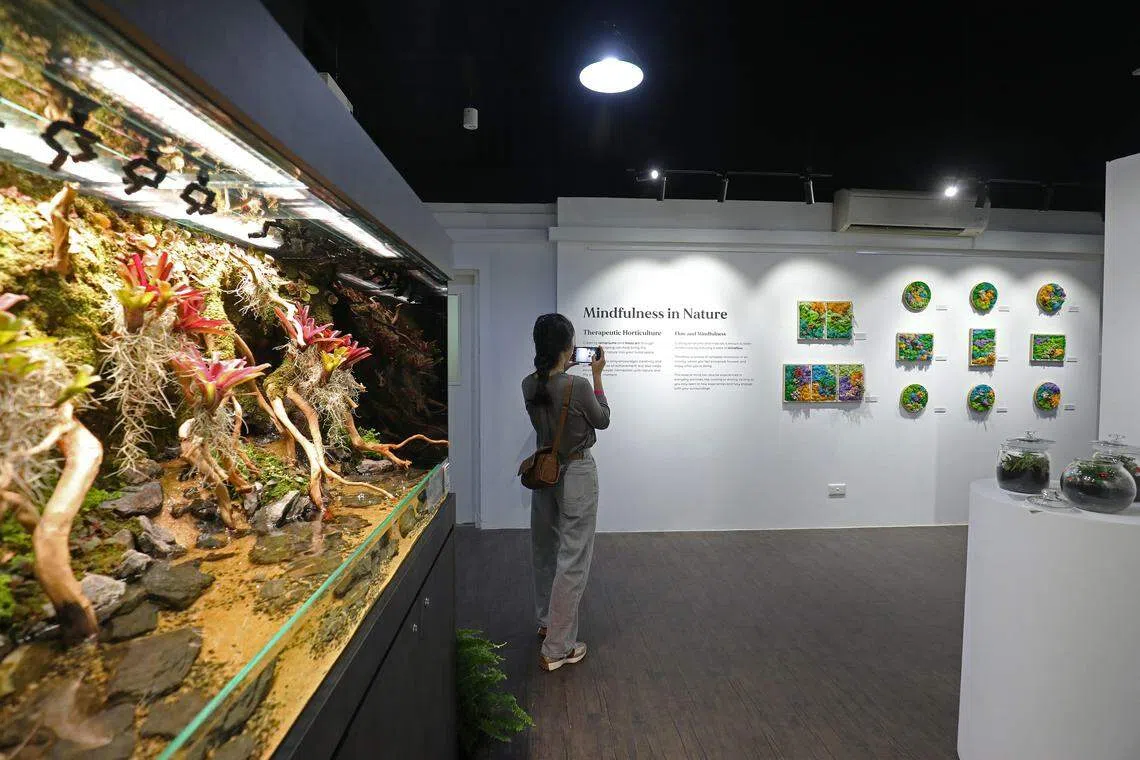 展览地点位于亚历山大医院的思维艺术体验馆（MAELab），展期六个月，开放给公众免费参观。（何炳耀摄）