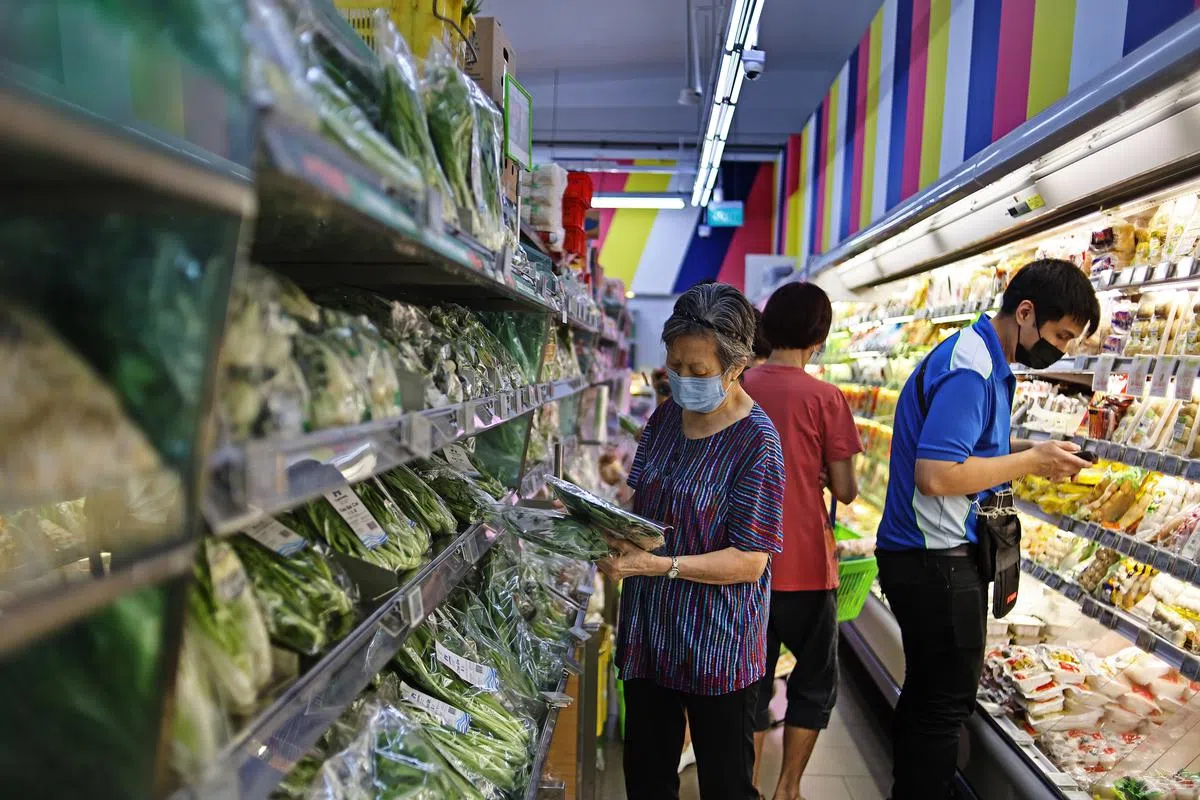 全民关心生活费上涨，政府推出更多补贴，协助新加坡人度过困难时期。（陈渊庄摄）