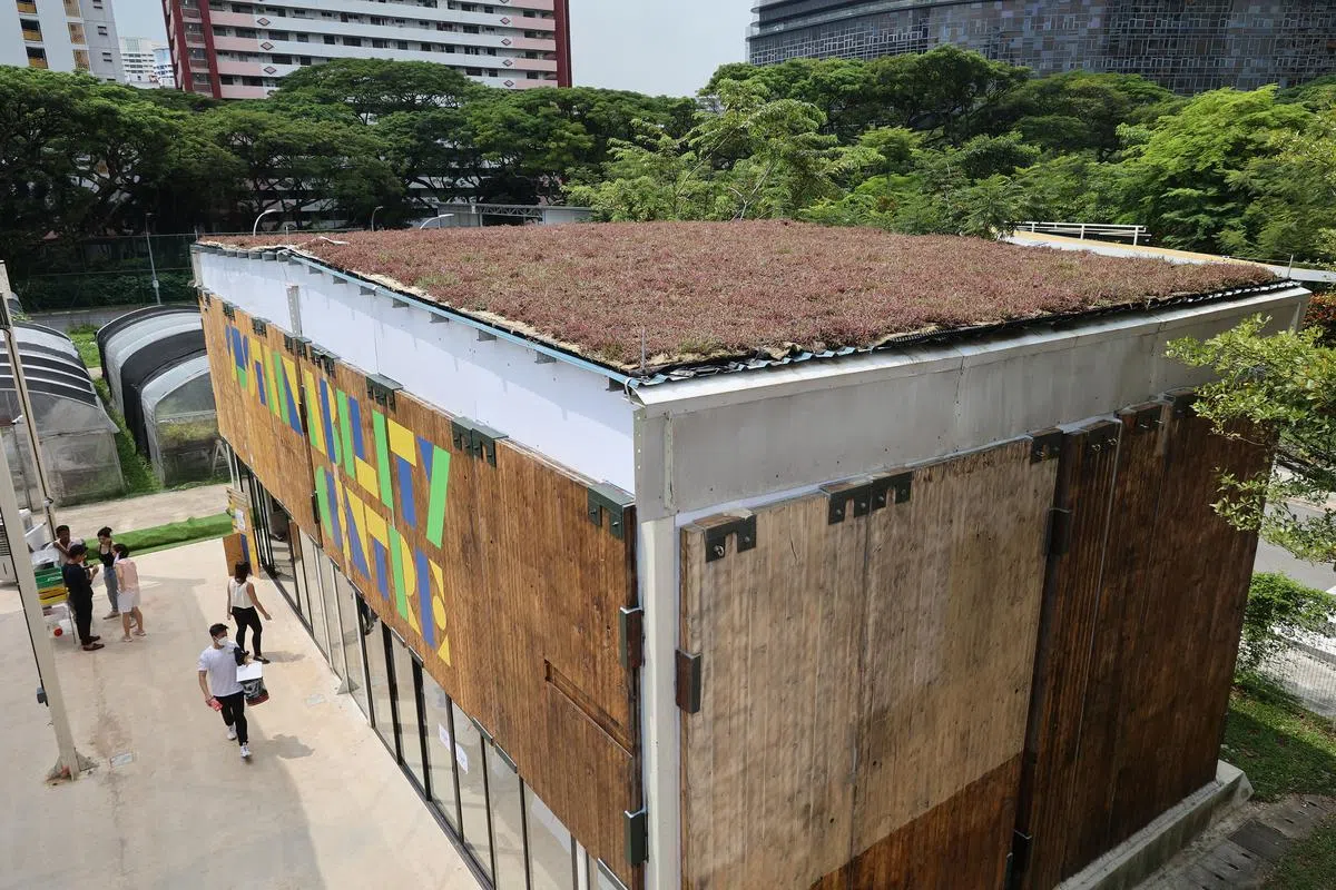 从升级再造旧衣服到社区农场计划，新加坡生态基金设立约一年半来已为105个项目拨款超过660万元。（唐家鸿摄）