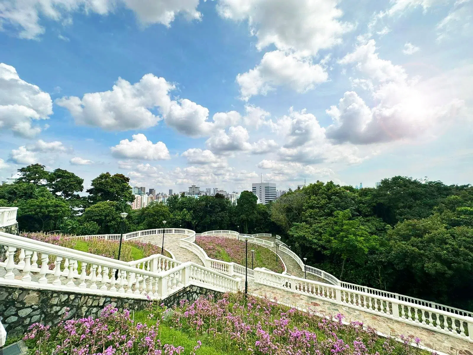 直落布兰雅山公园梯阶花园（Terrace Garden）郁郁葱葱的绿植，与城市景观形成鲜明对比，景色宜人。（公园局提供）