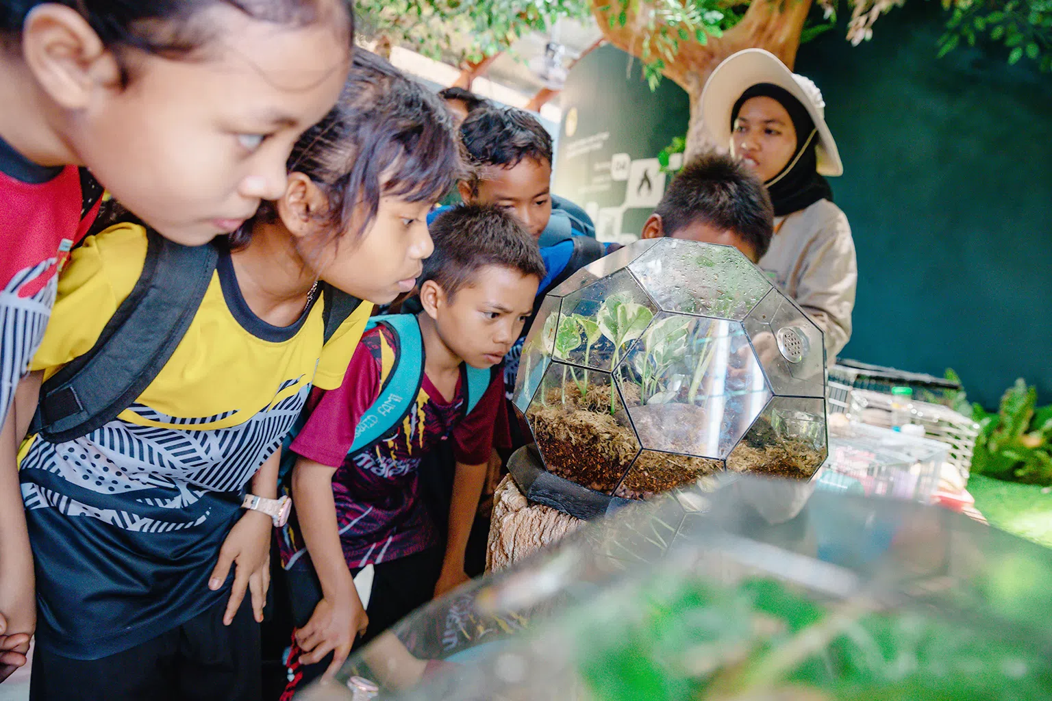 小朋友可以通过丛林学校计划2.0实地学习关于湿地生态环境的知识。（图/商家提供）