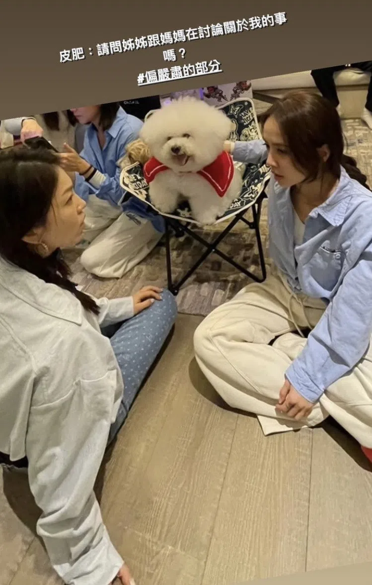 蔡依林（右）与姐姐蔡旻纹在讨论事情，屋虎在中间模样超可爱。（互联网）
