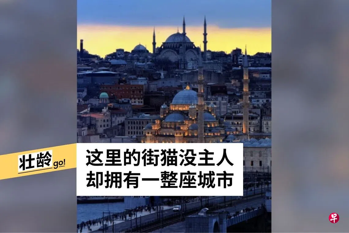  （沈俊摄）