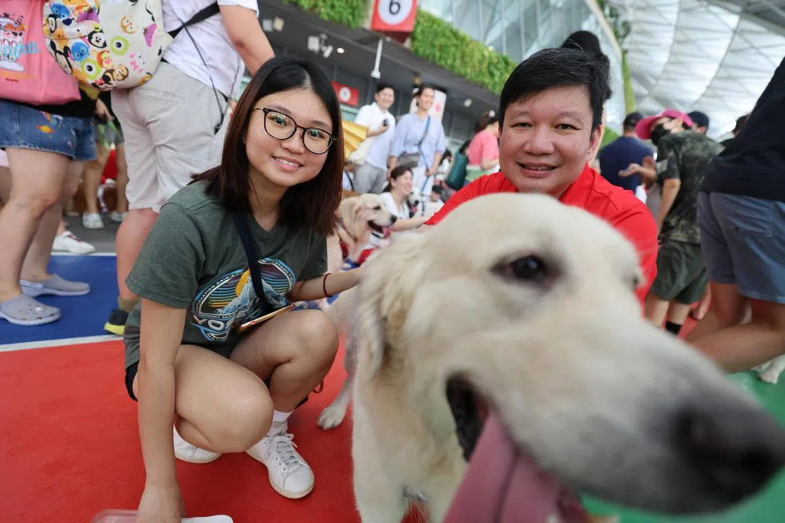 沈国良带着女儿和黄金猎犬一同参加国庆活动。（梁麒麟摄）