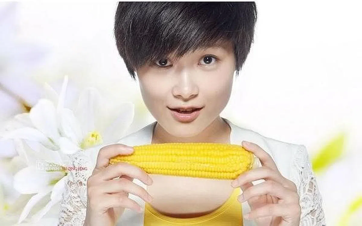 李宇春的粉丝自称为“玉米”。（互联网）