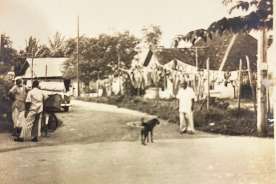 三巴旺顺吉路和丰隆路（今已不存在）交界处大草坪，当时的生活淳朴。（作者提供）