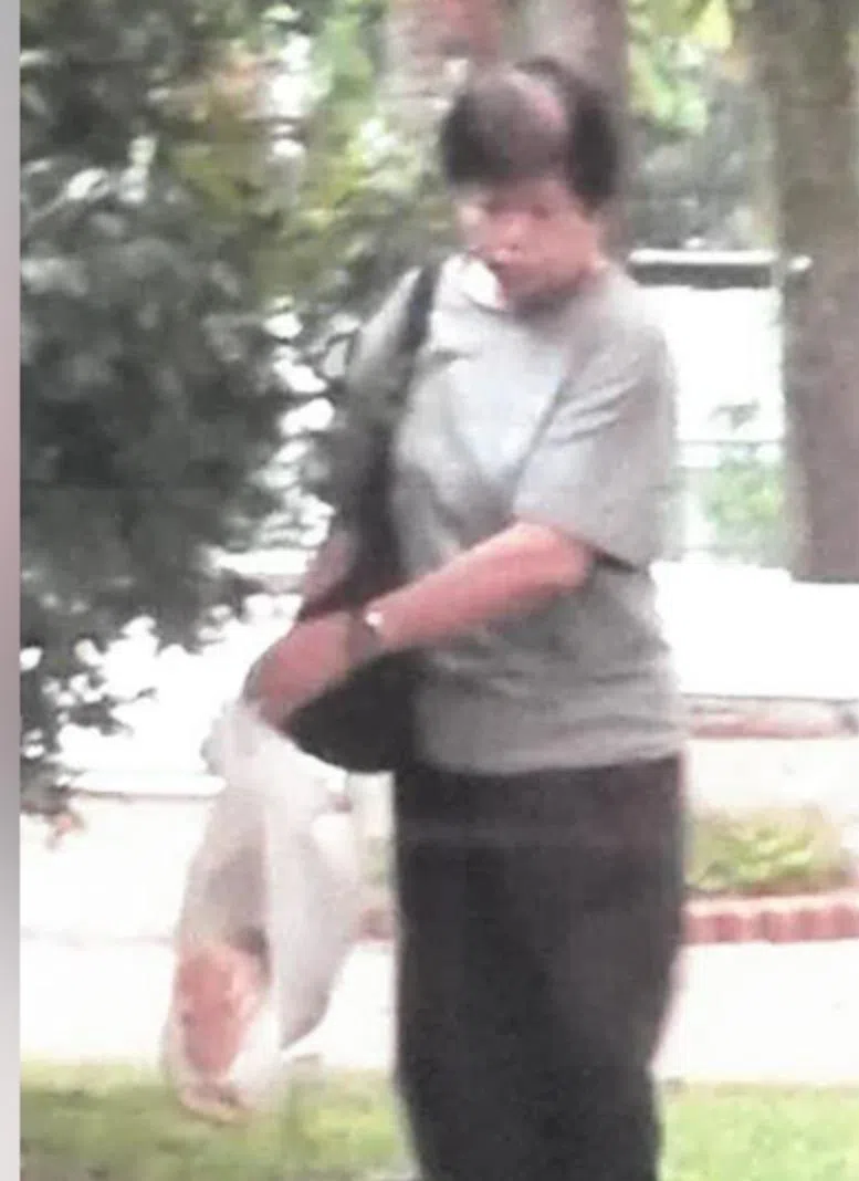 阿嫂被举报，指她在外喂鸽子。（取自法庭文件）