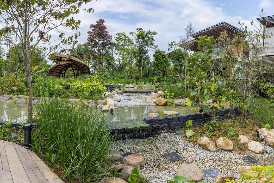 位于万态野生动物世界东区的多项新设施预计今年下半年开放。图为访客踏入东区时首先映入眼帘的湿地庭院景观。（万态保育集团提供）