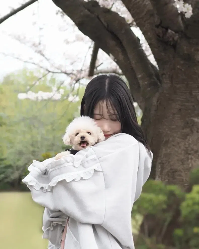 前SKE48成员铃木爱来惊传罹患脑梗塞中风。（互联网）
