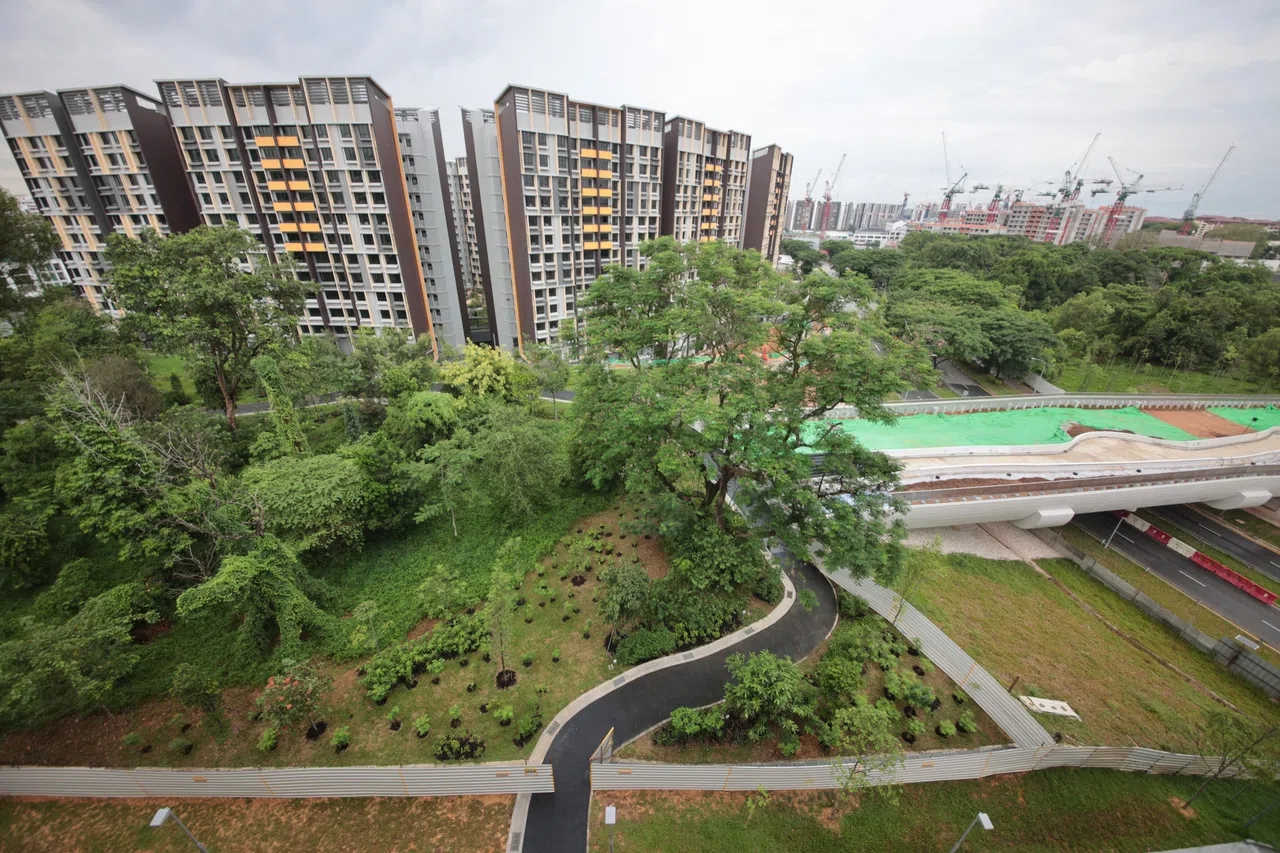 Woodleigh Glen和Woodleigh Hillside这两个项目之间，保留了占地一公顷的小丘。公园局也兴建一座宽19米的桥，连接山丘和对面的比达达利公园。（谢智扬摄）