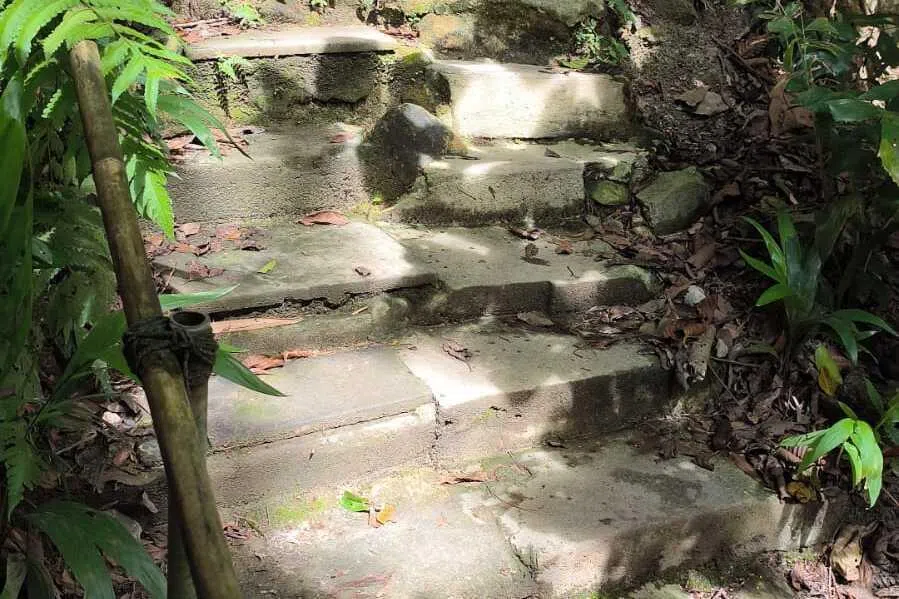 陡峻的梯级盘山而上，一层又一层。（君盈绿摄）