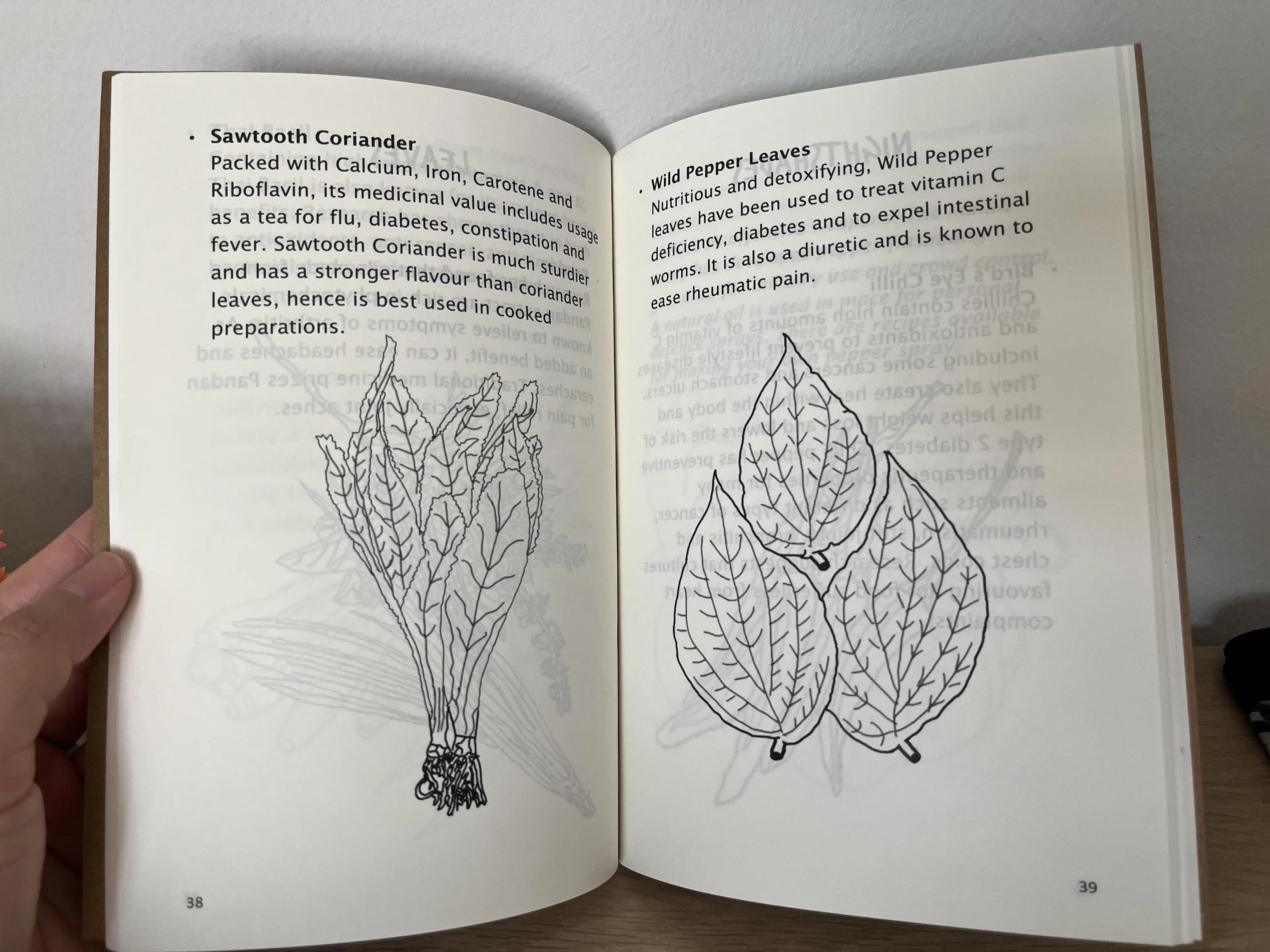 作者Carolyn Ortega（（卡罗琳·奥尔特加））以浅白易懂的英语介绍30种甘榜植物，插图由她的19岁侄子Elijah负责。（陈映蓁摄）