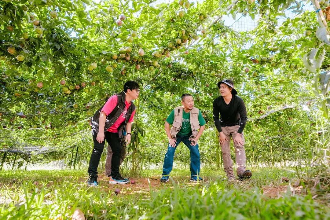 邵大伦（左）和邰智源（中）向百香果园少东阿伦（右）学习种植知识。（取自节目IG）