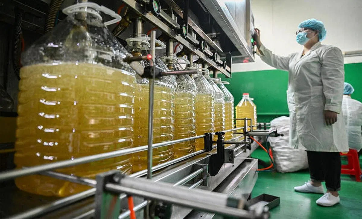 民营经济重镇福建泉州市要求做好防疫的前提下，加紧生产各类生活必需物资。图为当地一家粮油加工厂的工人3月20日正操控机器进行装油作业。（新华社）