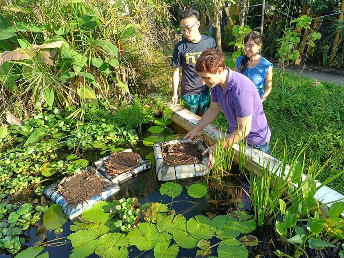 团队制作的漂浮菜园，目前在卡迪地铁站附近的聚友爱茁壮生长。（受访者提供）