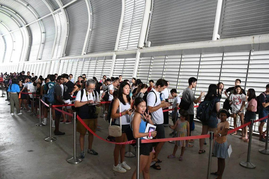 约500名粉丝在华侨银行游泳中心外排队，等待与美国泳将们合影并索取签名。（新加坡水上运动总会提供）