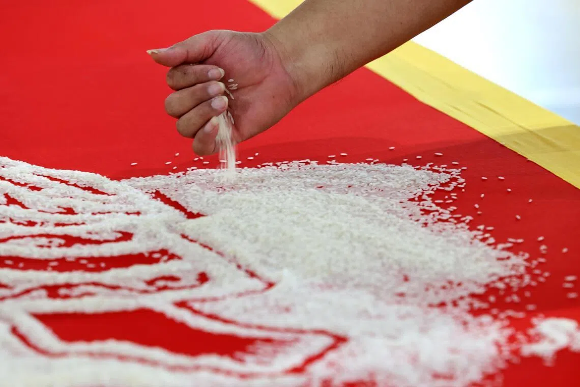 陈贵财运用米粒的疏密分布、摊铺与堆叠，让米图呈现丰富层次与立体感。（龙国雄摄）