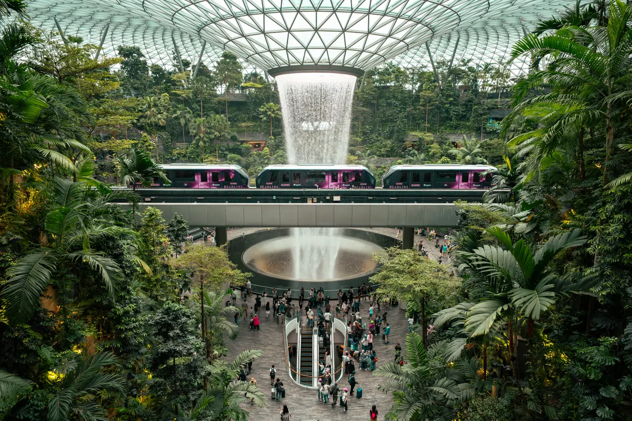 樟宜机场里通往不同航厦的轻轨列车换上粉色新装。（樟宜机场提供）