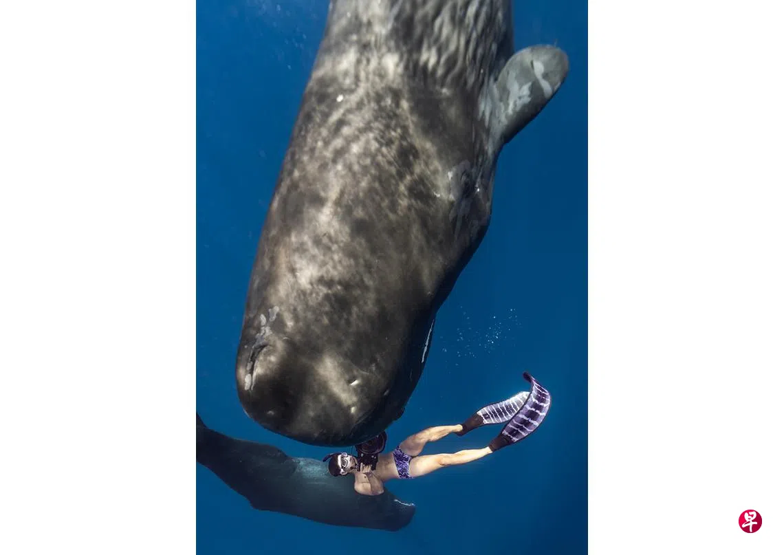 水下摄影师跨界纪念首饰业捕捉回忆赋予意义| 联合早报