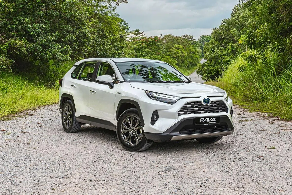 （图/商家提供）