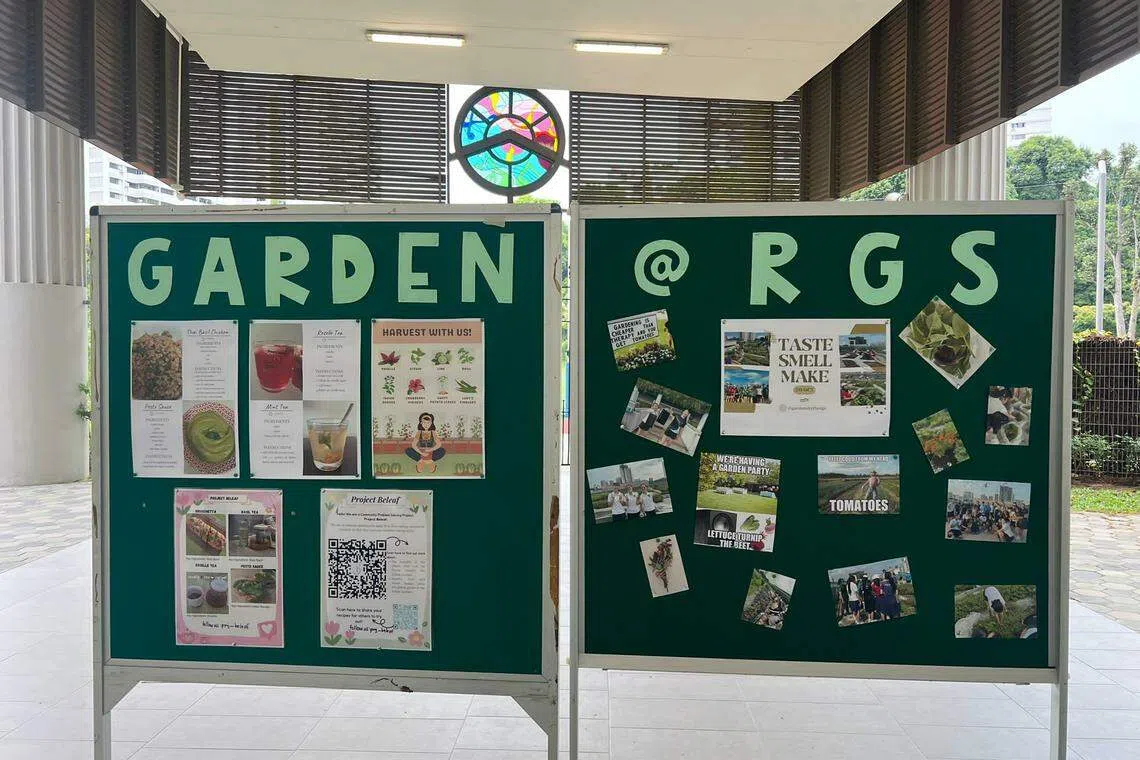 兴趣小组在一楼走廊摆放摊位，让路过的学生参观并了解他们所关注的社区课题。（作者提供）