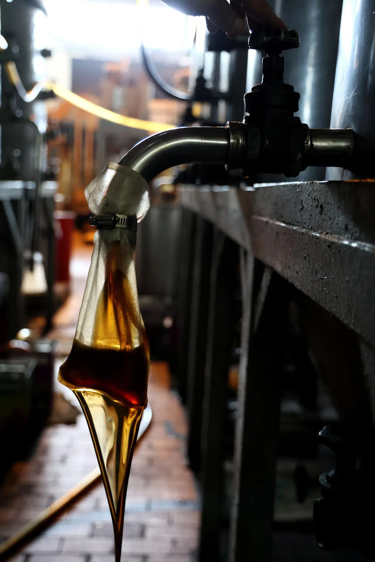 【过滤】冷却后的麻油用布袋过滤，保留麻油细微成分如矿物质，接着再经过第二道过滤工序，使麻油色泽清澈。（龙国雄摄）