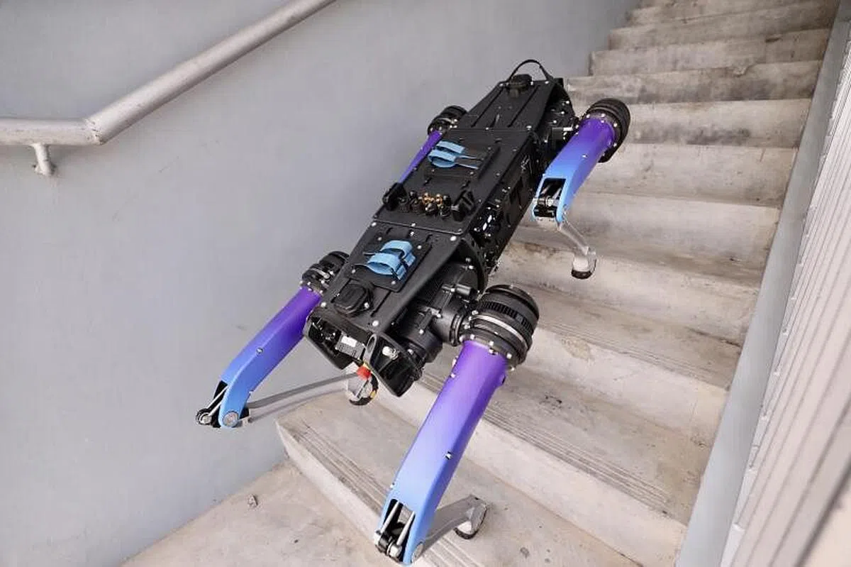 机器狗Rover-X的腿式运动和传感器也可用于规划对传统的轨道式或轮式机器人具挑战性的楼梯、路缘石等地形。（陈来福摄）