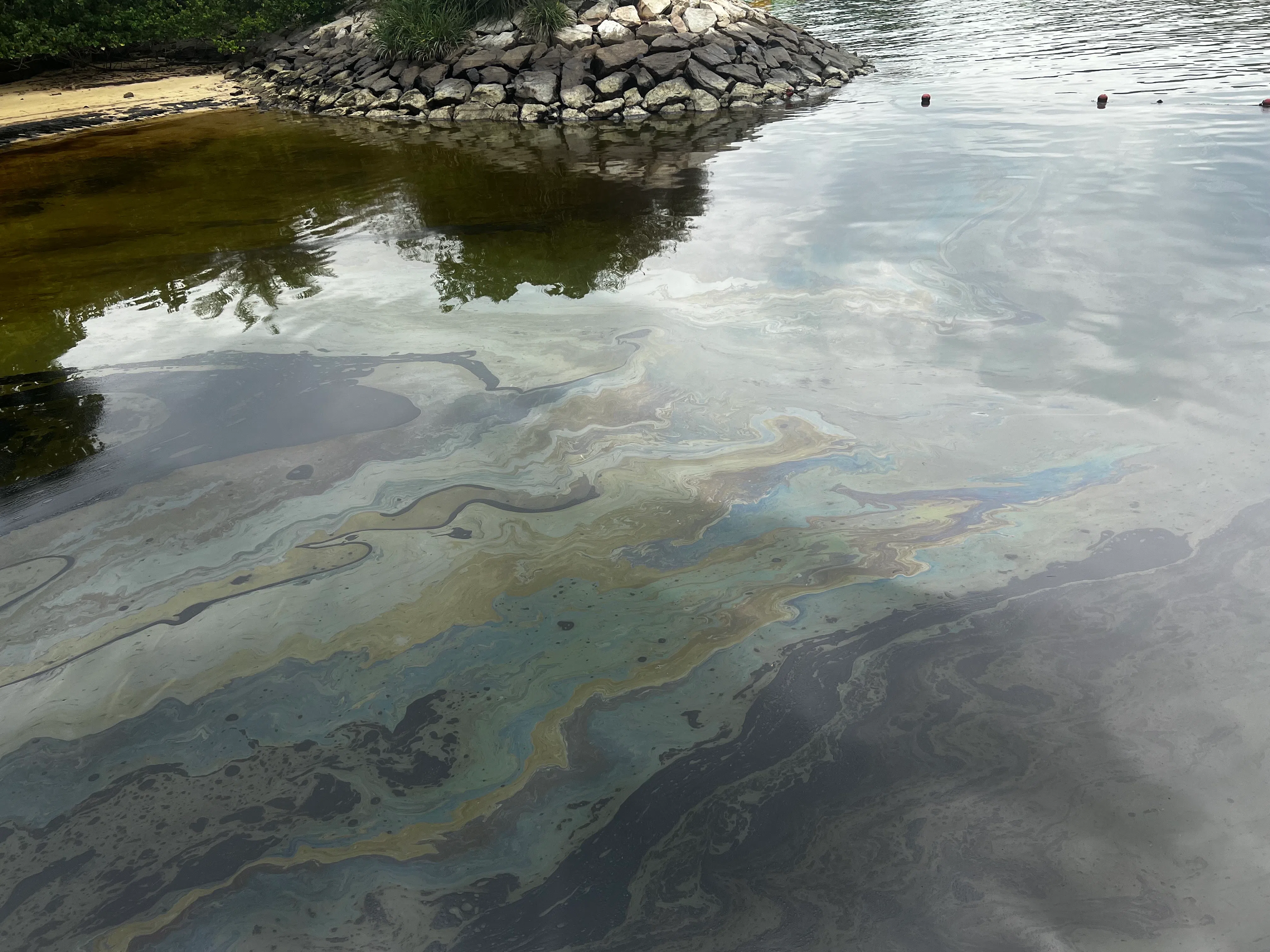 圣淘沙巴拉湾海滩出现大片油渍。（杨烨摄）