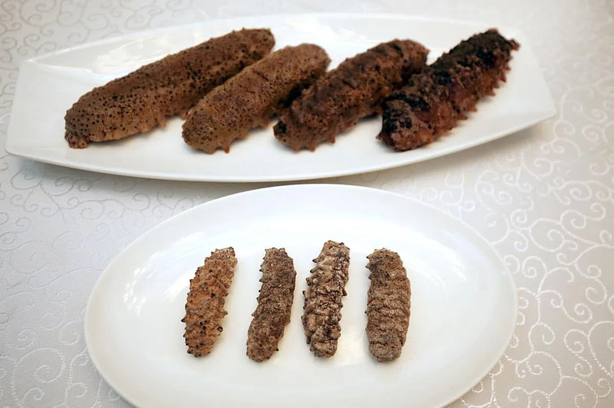 干海参泡发后，体积变大，质感变软。