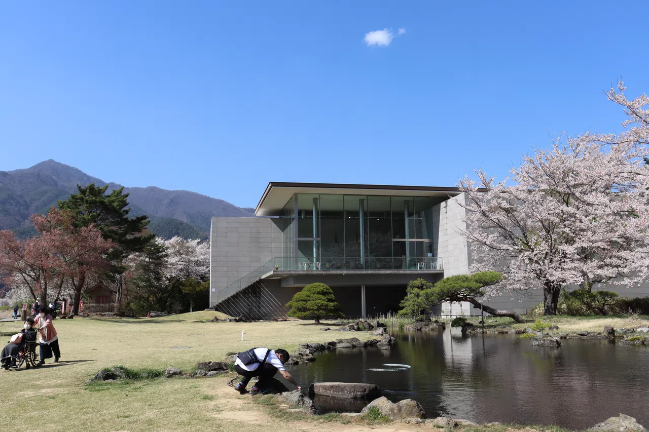 河口湖美术馆常年展出以富士山为主题的作品。（陈芷馨摄）