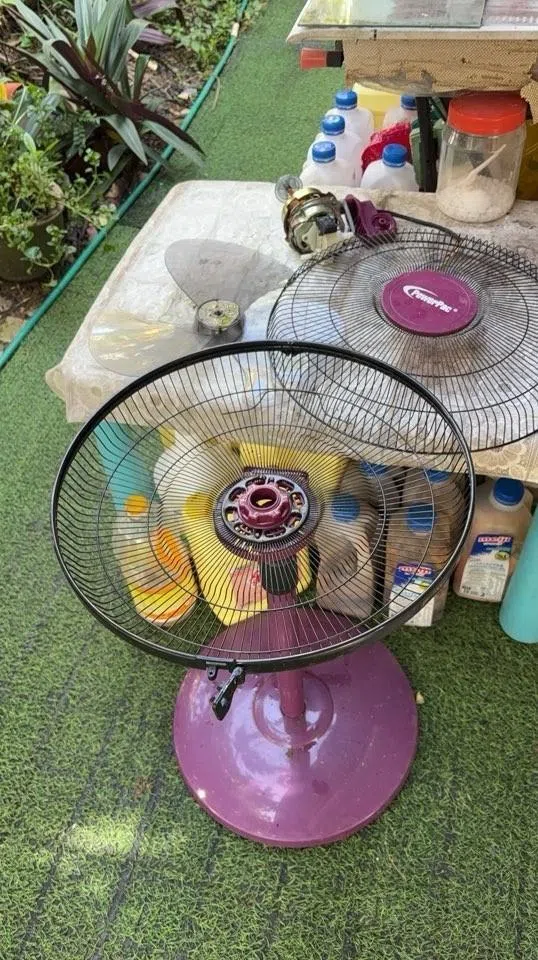 旧风扇坏掉后，黄天赐没有马上扔掉，而是动手把风扇改造成植物展示架。（受访者提供）