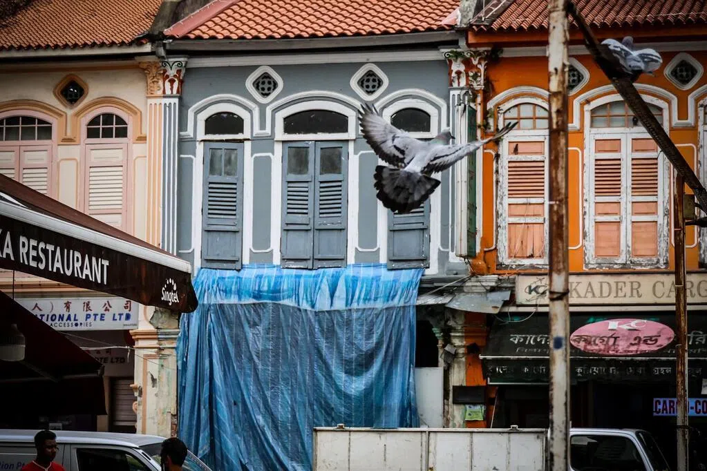 通过妻子的建筑公司买下小印度受保留双层店屋，却未经批准就对店屋施工，导致部分建筑特色遭到破坏，一名54岁本地永久居民和建筑公司被判罚款合计40万元，公司也被令自费修复建筑原貌。