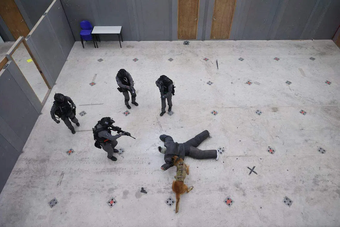 在科技和K9警犬组的辅助下，特工与拯救队员能快速锁定并压制嫌犯，行动中遭遇的风险无形中减低。（唐家鸿摄）