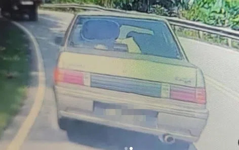 陈泓宇上载一张疑似撞死陈爸爸的车子图片，并希望肇祸者能出来跟父亲道歉。（取自陈泓宇IG）