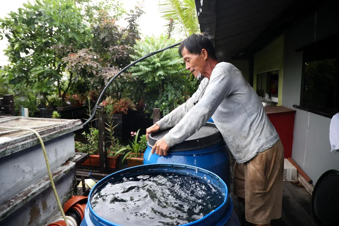 突然下起雨，让林鑫源无暇休息。这一桶桶雨水收集起来可以用来浇花、洗手，甚至洗澡，不用另上码头打水。（关俊威摄）