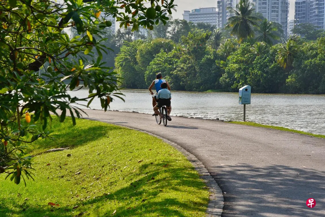 2025年度总统环境奖开放提名| 联合早报