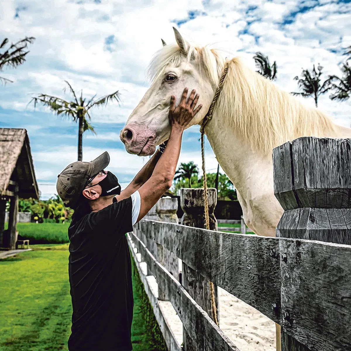 张视坤在印尼的马房当义工后，开始与动物结缘。