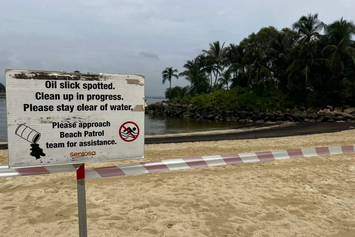 圣淘沙海滩水域现大片油渍，圣淘沙丹戎海滨、巴拉湾海滩，以及西乐索海滩已关闭进行清理工作。（杨烨摄）