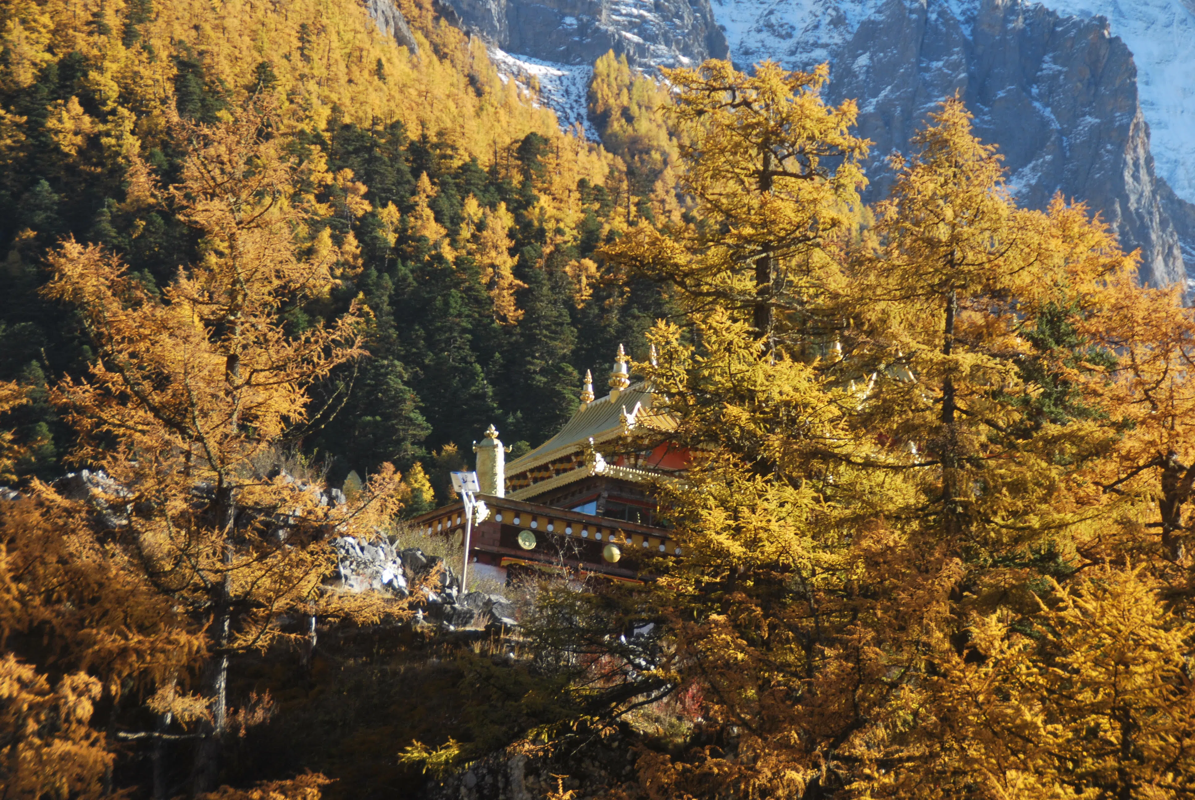 迷人秋色中的寺院，如诗如画。（王雅玉摄）