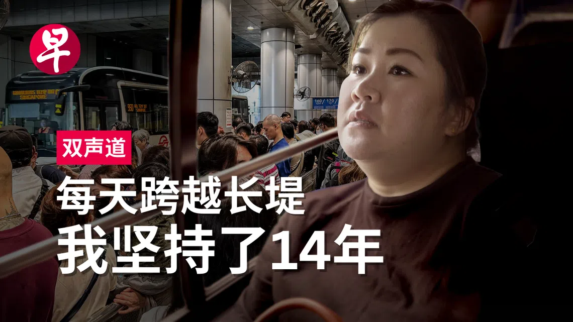 视频《来回新马打工的去与留》