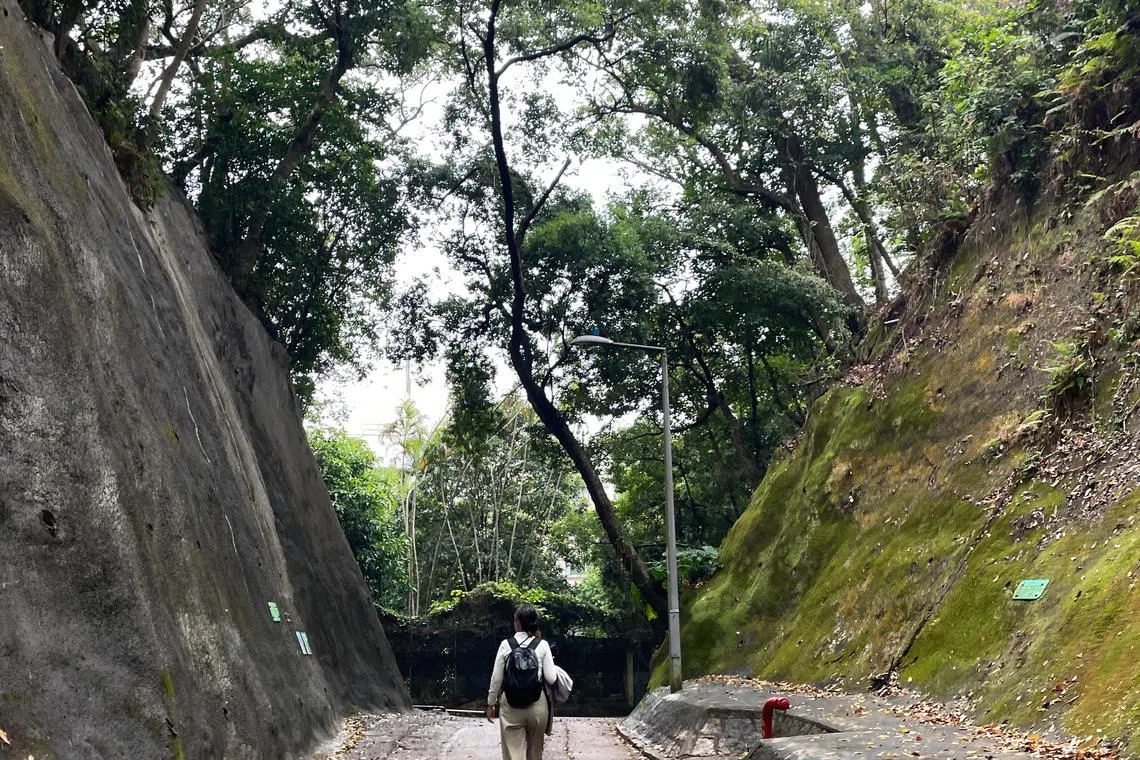 想象的画面远比现实图景美丽。（章瑗摄）