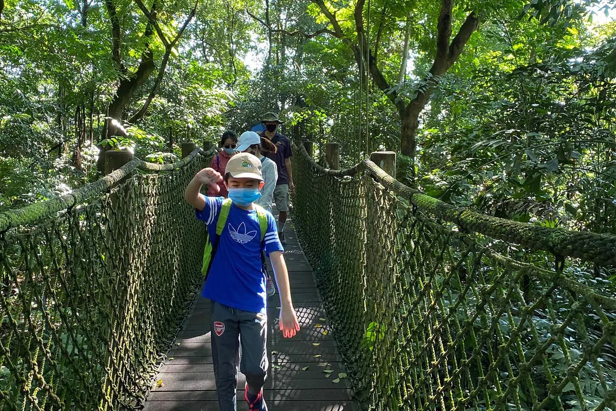 双溪布洛湿地保护区是新加坡最大的受保护红树林，多样性生态最适合带着小朋友一起认识和贴近大自然世界。注：拍摄时有遵守安全社交距离规定。（图／TIMESWORLD TRAVEL提供）