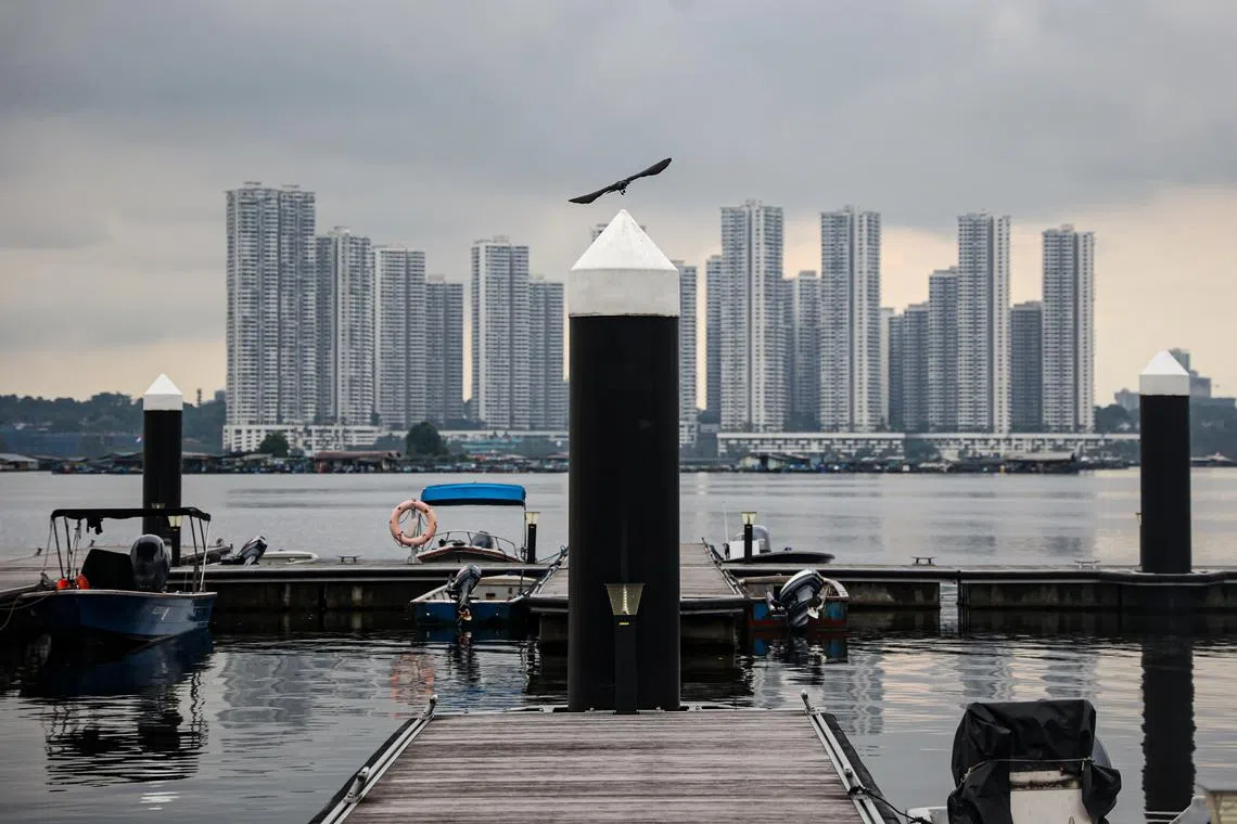 过了早晚的送货高峰，码头恢复安静，一眼望去只有对岸新山整齐的楼盘。据林鑫源说，包括他在内，这里只有三家渔场的主人还住在海上。（关俊威摄）
